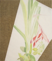 http://www.tatianaurban.de/files/gimgs/th-18_rosa_billbergia.jpg