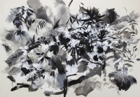 http://www.tatianaurban.de/files/gimgs/th-7_achromatic_nature_II_spinningleaves.jpg